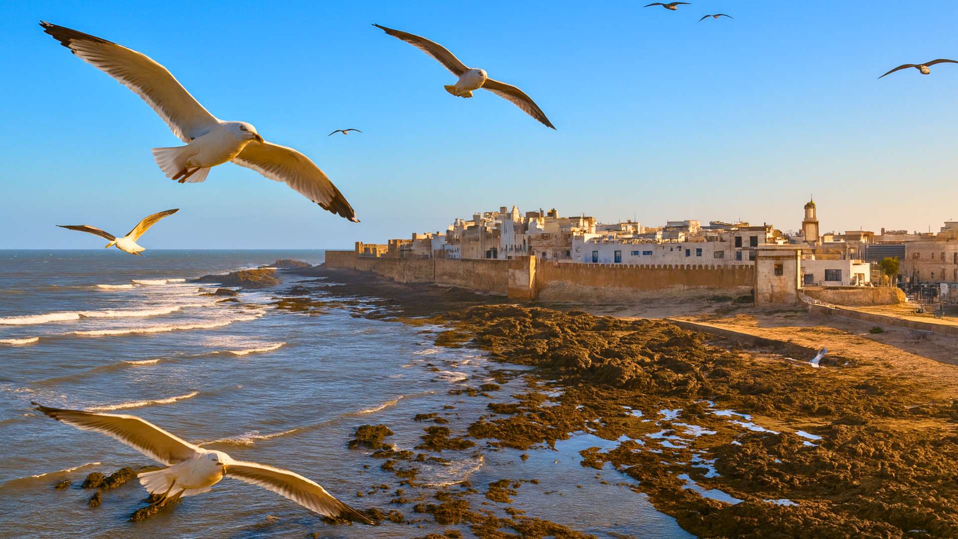 Essaouira Mogador : histoire, culture et actualités de la perle atlantique