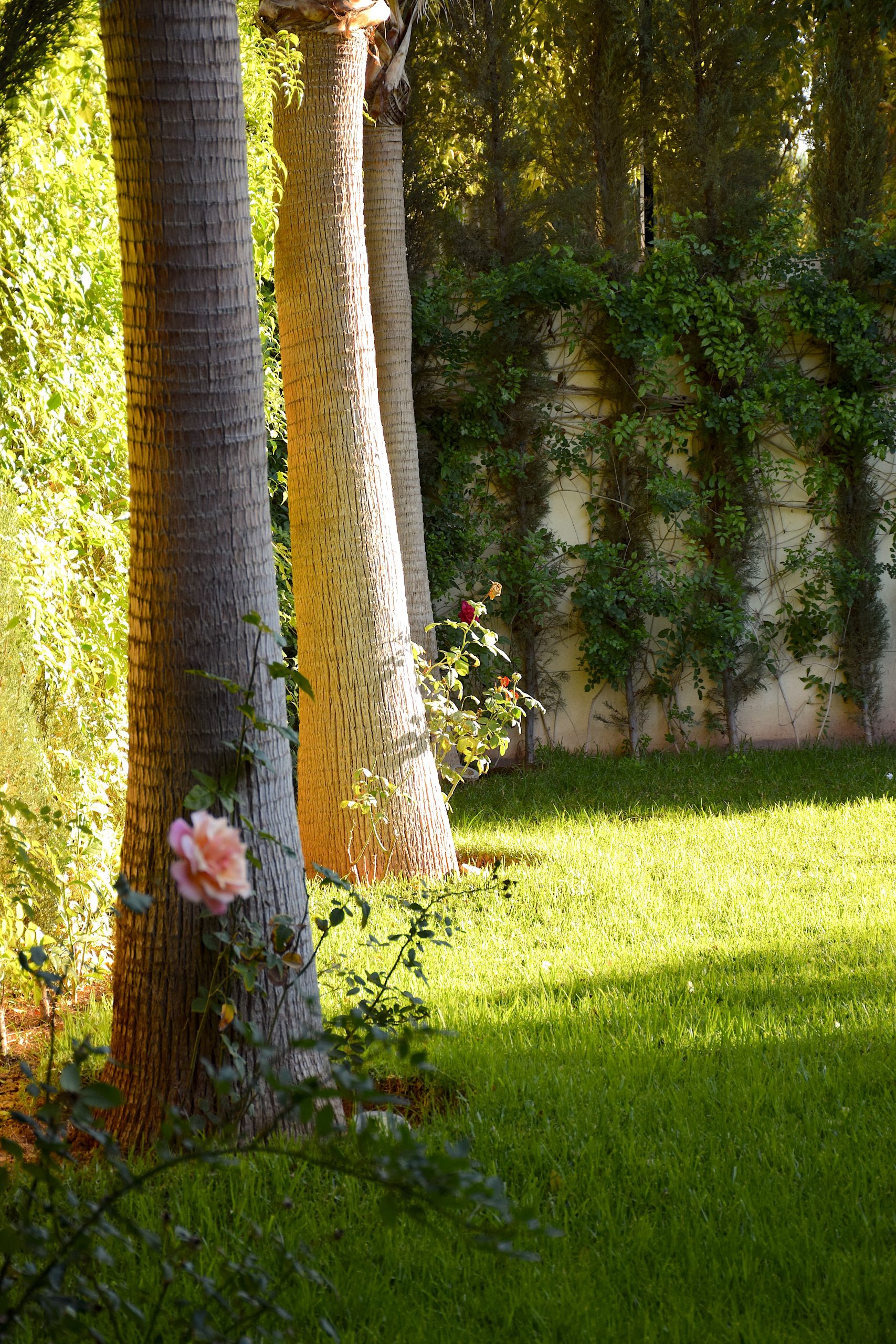 Villa Prestige Piscine - Salle de sport Argan Golf – Image 79